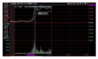 特朗普當(dāng)選總統(tǒng)對(duì)軟件開(kāi)發(fā)行業(yè)的影響與應(yīng)對(duì)